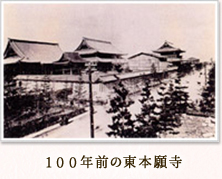 100NO̓{莛