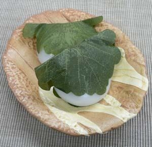 �V�����Y ��V���@�y�Ɩ��p�z�@�@50�@10%OFF